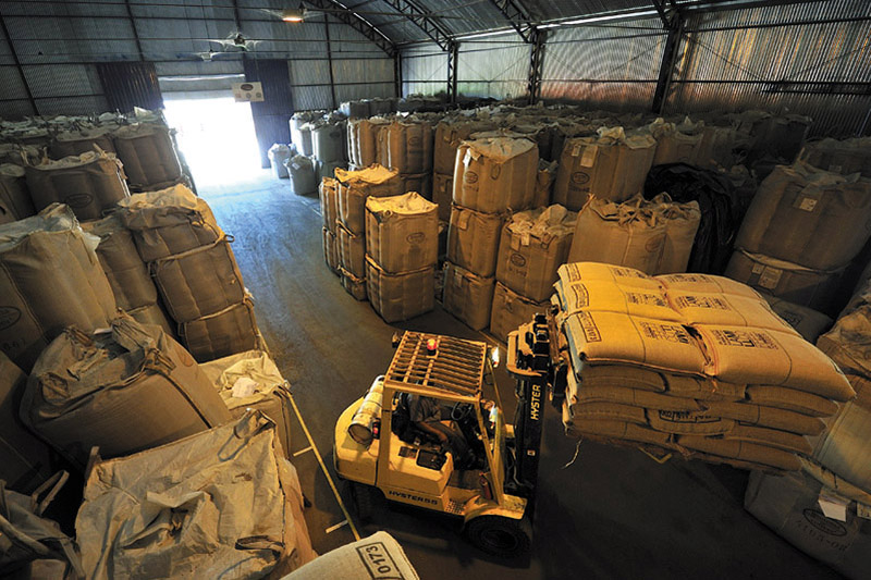 Giorgio Pietri Services