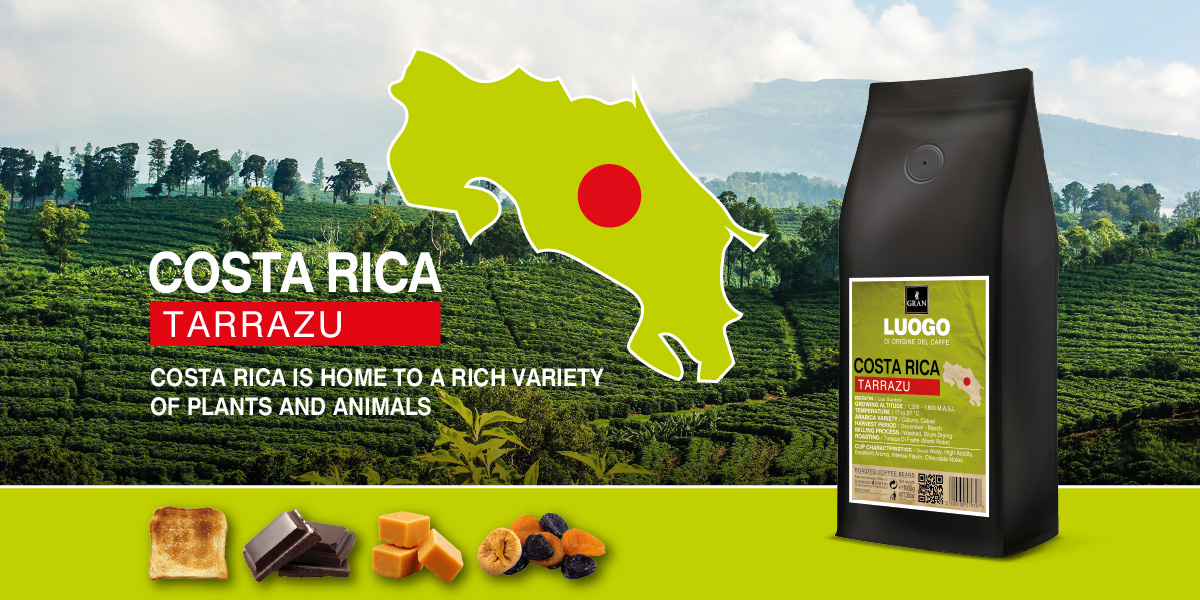 25_164_Giorgio_Pietri_Website_Luogo_COSTA_RICA