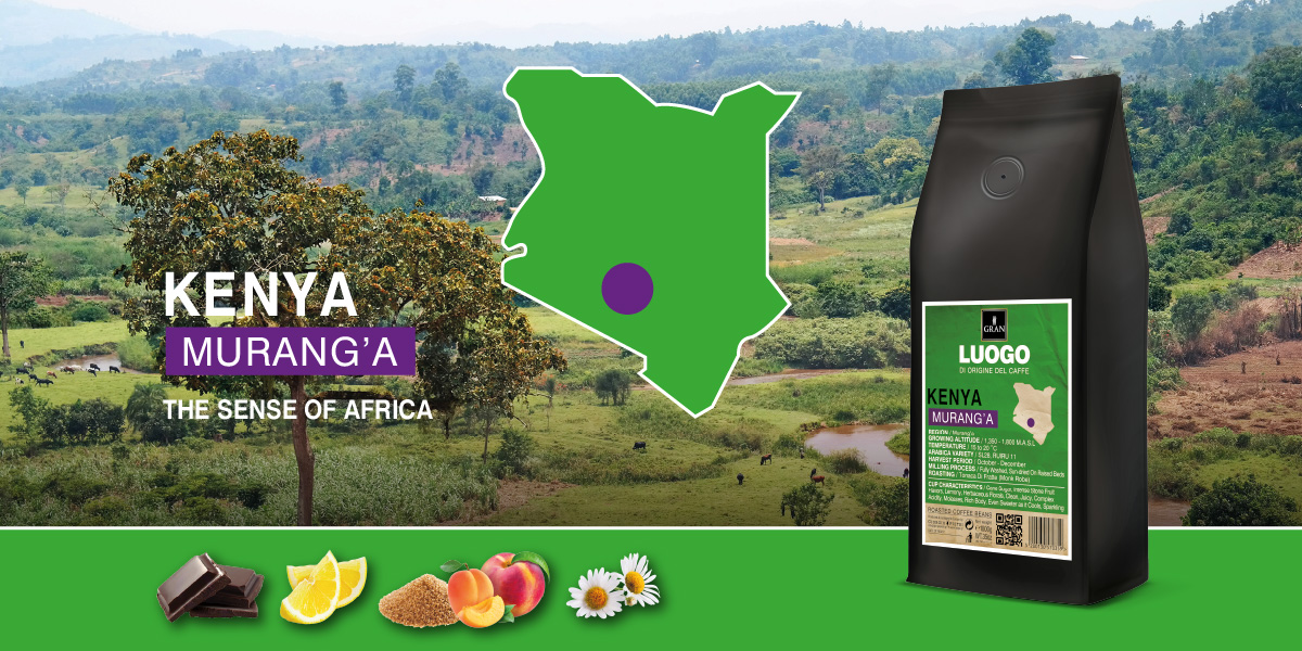 25_164_Giorgio_Pietri_Website_Luogo_KENYA